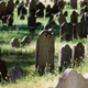 Image for article titled Memorable character deaths